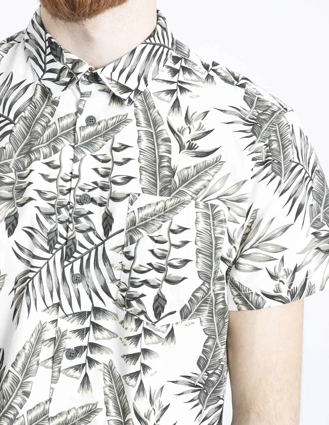 CAMISA HOJAS EGRET BLEND